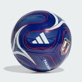 Japan National Team FIFA x World Cup Federation Ball