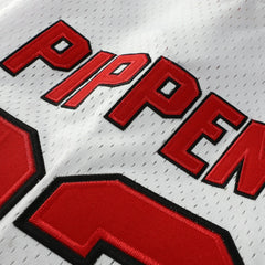 Scottie Pippen Chicago Bulls Player Mesh V-Neck Shirt sale - White online