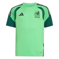 Mexico National Team Youth FIFA x World Cup 2026 Tiro Training Jersey - Green online