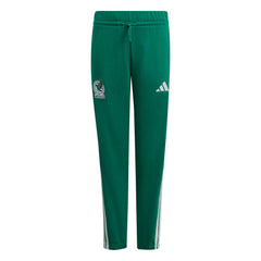 Mexico National Team Youth FIFA x World Cup Alphaskin Pants - Green cheap