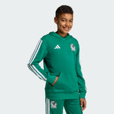 Mexico National Team Youth FIFA x World Cup Alphaskin Hoodie - Green for sale