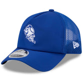 New York Mets 2026 Batting Practice Alternate Apex 9FORTY Adjustable Hat Royal