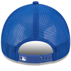Chicago Cubs 2026 Batting Practice Alternate Apex 9FORTY Adjustable Hat Royal