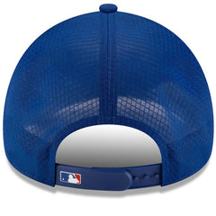 Chicago Cubs 2026 Batting Practice Apex 9FORTY Adjustable Trucker Hat Royal