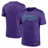 Arizona Diamondbacks Authentic Collection City Connect Velocity Dri-FIT T-Shirt Purple
