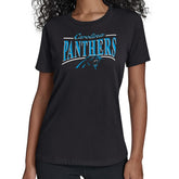 Carolina Panthers Starter Women's Arch Stripe T-Shirt - Black outlet
