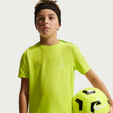 Tottenham Hotspur Youth 2025/26 Academy Pro Pre-Match Dri-FIT Top Sale - Neon Green