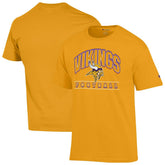 Minnesota Vikings Champion Football T-Shirt - Gold outlet