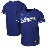 Los Angeles Dodgers Youth Alternate 2 Stadium Jersey Royal
