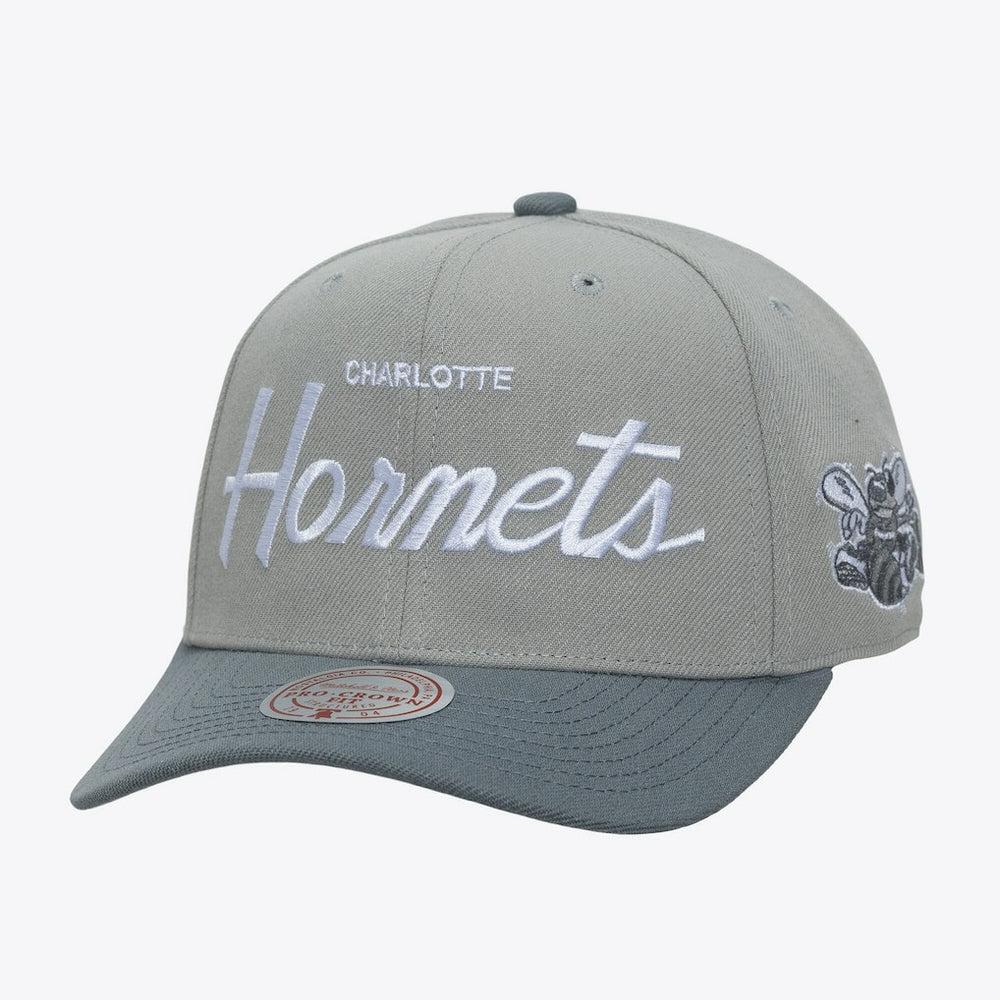 Charlotte Hornets Thunderstorm Head Coach Pro Crown Snapback Hat - Gray sale