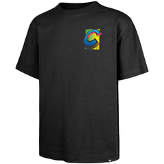 Chicago Cubs Sundale Foundation T-Shirt Black