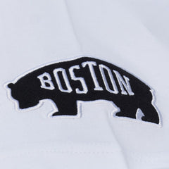 Boston Bruins Mitchell & Ness Arctic T-Shirt- White T-shirts