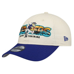 Texas Rangers Youth 2026 Spring Training Fan Pack Batter 9TWENTY Adjustable Hat Stone/Royal