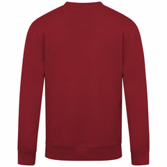 Arizona Diamondbacks Levelwear Zane Banner Arch Sweatshirt Red