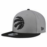 Toronto Raptors Core Logo Storm Gray Two-Tone 9FIFTY Snapback Hat - Gray online