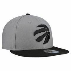 Toronto Raptors Core Logo Storm Gray Two-Tone 9FIFTY Snapback Hat - Gray online