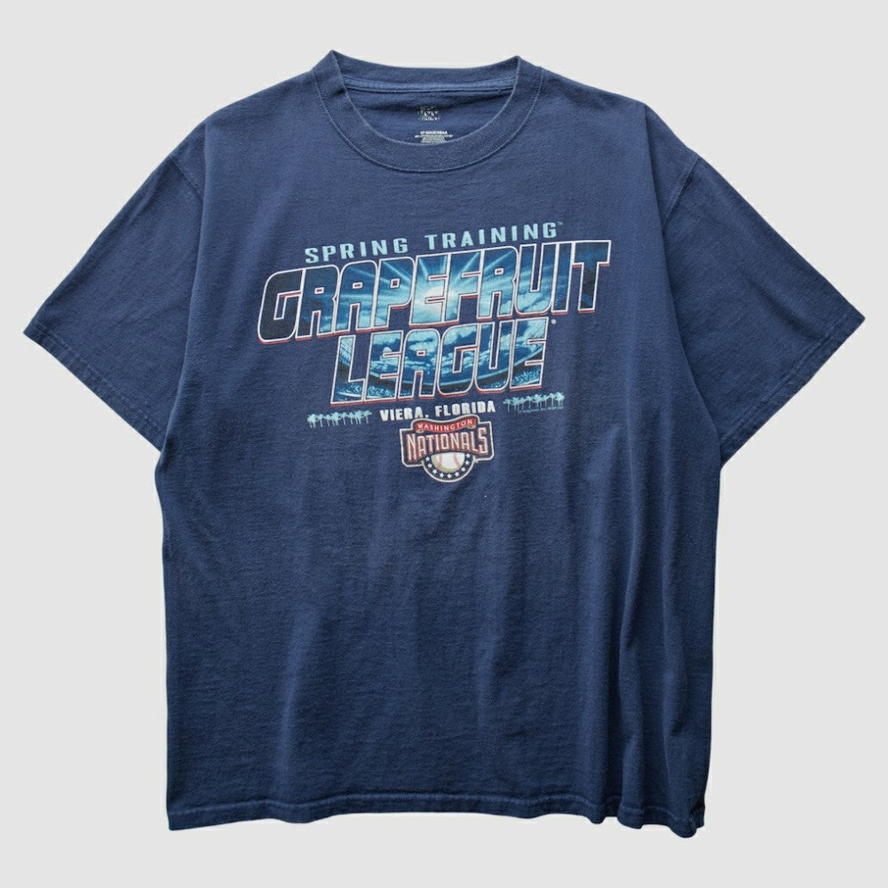 Washington Nationals 2000s T-Shirt Navy Vintage