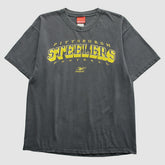 Pittsburgh Steelers Reebok 2000s T-Shirt - Gray Vintage sale