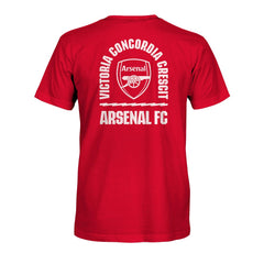 Arsenal 1863FC True To Glory Heavyweight T-Shirt - Red online