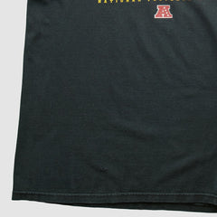 Pittsburgh Steelers NFL 2000s Long Sleeve T-shirt - Black Vintage discount