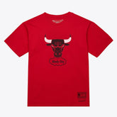 Chicago Bulls Unisex Hardwood Classics Arch T-Shirt sale - Red shop