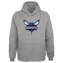 Charlotte Hornets Outerstuff Youth Primary Logo Pullover Hoodie - Gray sale