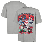 New England Patriots '47 Regional Foundation T-Shirt - Gray sale