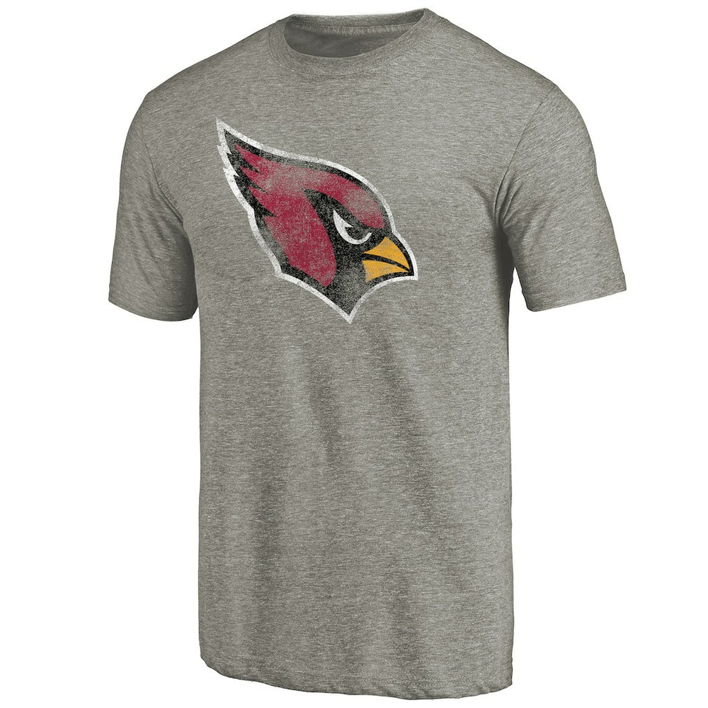 Arizona Cardinals Distressed Team T-Shirt - Ash for sale