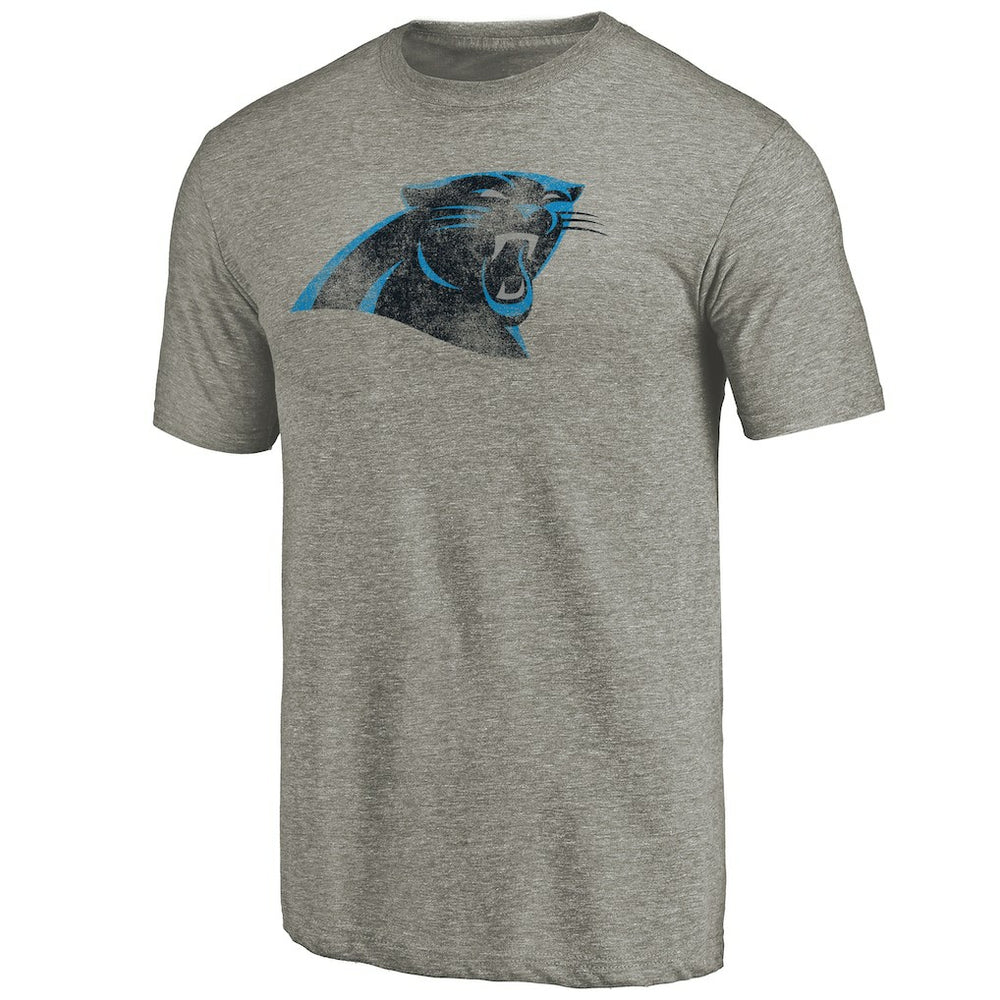 Carolina Panthers Distressed Team T-Shirt - Ash cheap