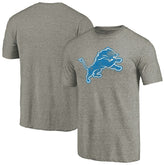 Detroit Lions Distressed Team T-Shirt - Ash on sale