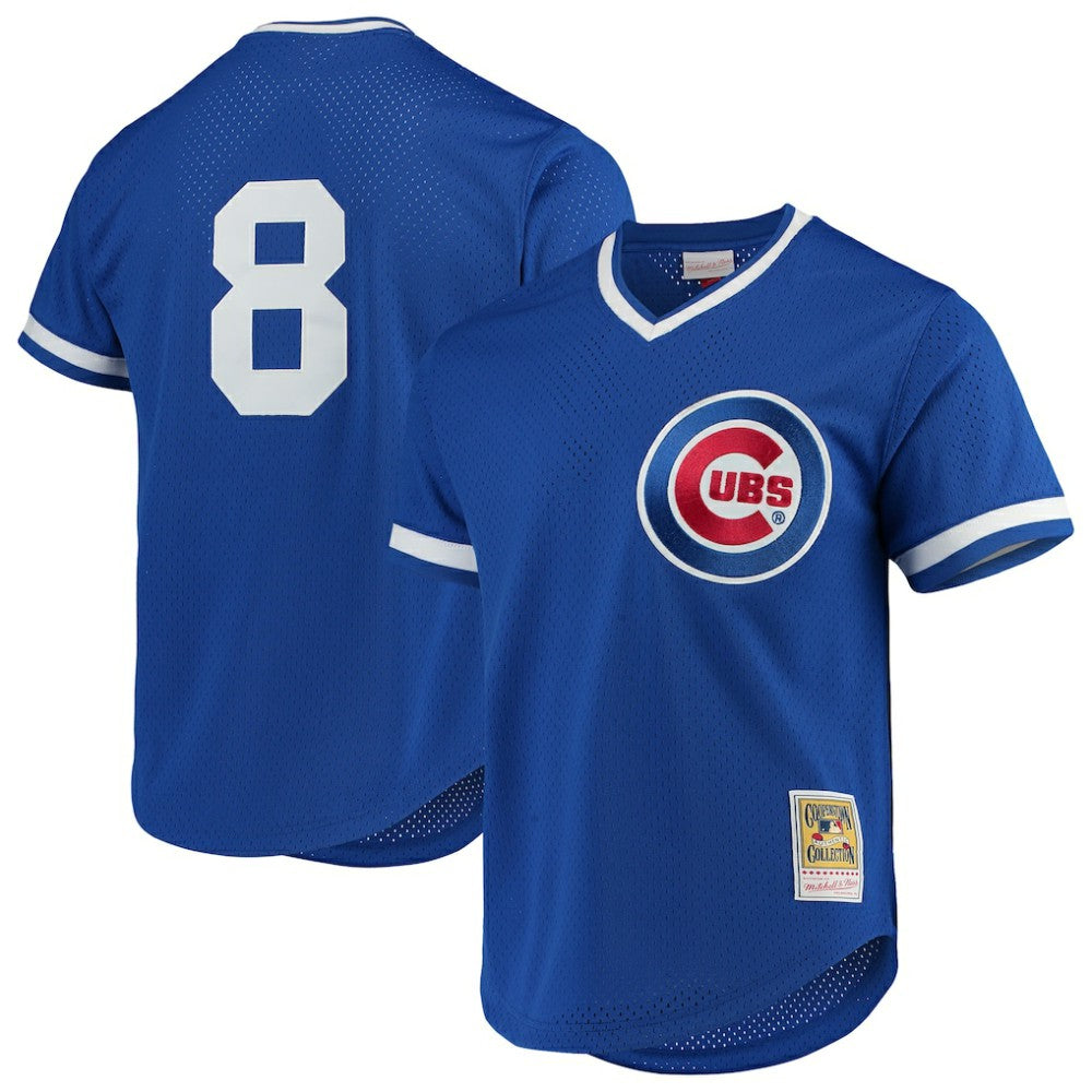 Andre Dawson Chicago Cubs Authentic Batting Practice Jersey Royal