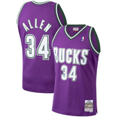 Ray Allen Milwaukee Bucks 2000/01 Hardwood Classics Swingman Jersey - Purple sale