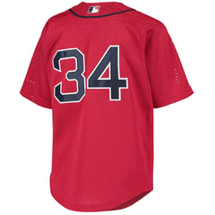 David Ortiz Boston Red Sox Youth Cooperstown Collection Batting Practice Jersey Red