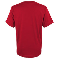 Atlanta Falcons Youth Dirty Birds T-Shirt - Red cheap