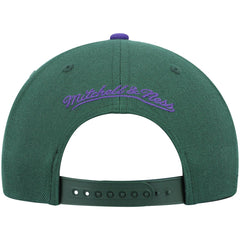 Milwaukee Bucks Hardwood Classics Team Two-Tone 2.0 Snapback Hat - Green/Purple on sale