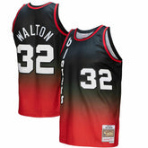 Bill Walton Portland Trail Blazers 1976/77 Hardwood Classics Fadeaway Swingman Player Jersey - Red/Black on sale