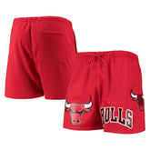 Chicago Bulls Pro Standard Mesh Capsule Shorts - Red on sale