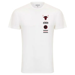 Chicago Bulls Sportiqe Unisex 1966 Collection City Flag Bingham T-Shirt sale - White on sale