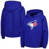 Toronto Blue Jays Youth Team Primary Logo Pullover Hoodie Royal