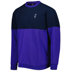 Argentina National Team Graphic Pullover Sweatshirt - Navy/Purple sale