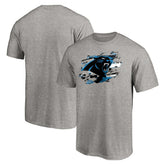 Carolina Panthers True Color T-Shirt - Heather Gray for sale