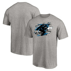 Carolina Panthers True Color T-Shirt - Heather Gray for sale