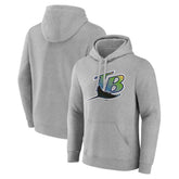 Tampa Bay Rays Wahconah Pullover Hoodie Gray