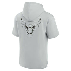 Chicago Bulls Unisex Elements Super Soft Fleece Short Sleeve Pullover Hoodie sale - Gray shop