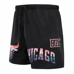 Chicago Bulls Pro Standard City Scape Mesh Shorts - Black outlet