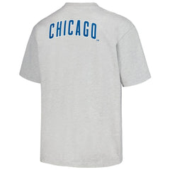 Chicago Cubs PLEASURES Mascot T-Shirt Gray