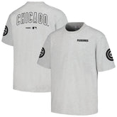 Chicago Cubs PLEASURES Team T-Shirt Gray