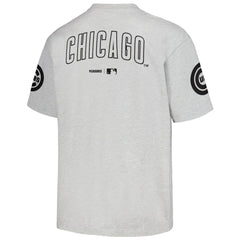 Chicago Cubs PLEASURES Team T-Shirt Gray