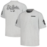 St. Louis Cardinals PLEASURES Team T-Shirt Gray