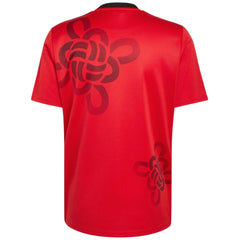 Manchester United Cultural Story Jersey 2025/26